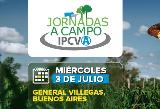 Jornada a Campo del IPCVA en General Villegas